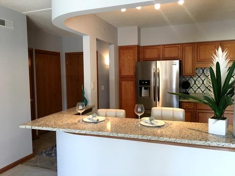1349 E Washington St #204A, Des Plaines, IL 60016 photo 4