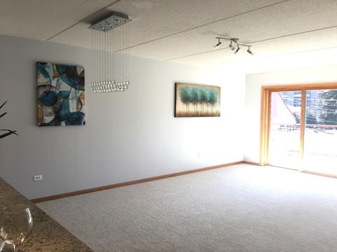 1349 E Washington St #204A, Des Plaines, IL 60016 photo 6