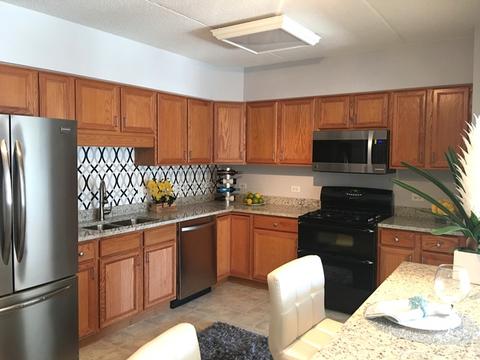 1349 E Washington St #204A, Des Plaines, IL 60016 photo 3