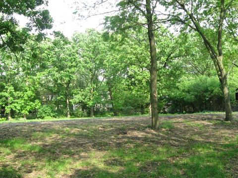 25 Danube Way, Olympia Fields, IL 60461 photo 6