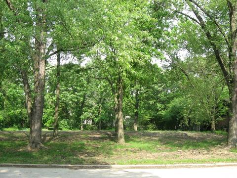 25 Danube Way, Olympia Fields, IL 60461 photo 2