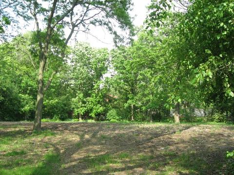 25 Danube Way, Olympia Fields, IL 60461 photo 5