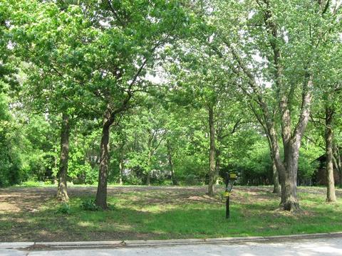 25 Danube Way, Olympia Fields, IL 60461 photo 3