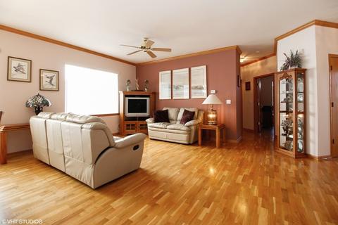 13632 S Redbud Dr, Plainfield, IL 60544 photo 4
