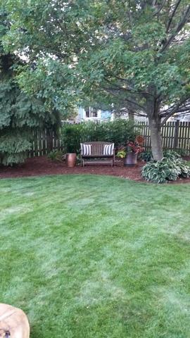 436 Sequoia Trl, Cary, IL 60013 photo 35