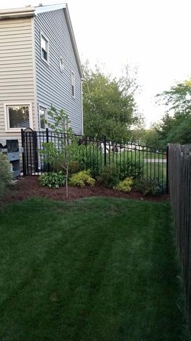 436 Sequoia Trl, Cary, IL 60013 photo 39