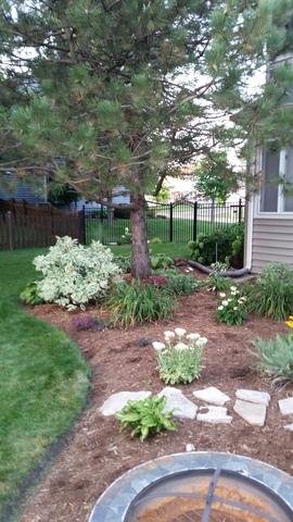 436 Sequoia Trl, Cary, IL 60013 photo 37