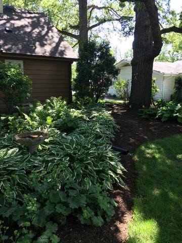 1116 Forest Dr, Elgin, IL 60123 photo 32