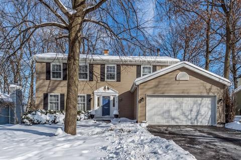 341 S Hickory Ave, Bartlett, IL 60103 photo 1