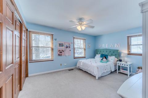 341 S Hickory Ave, Bartlett, IL 60103 photo 20