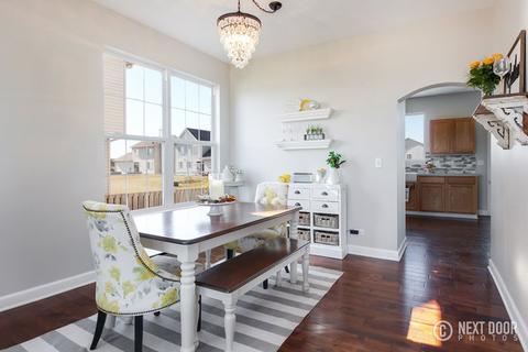 931 Daniel St, Plano, IL 60545 photo 9