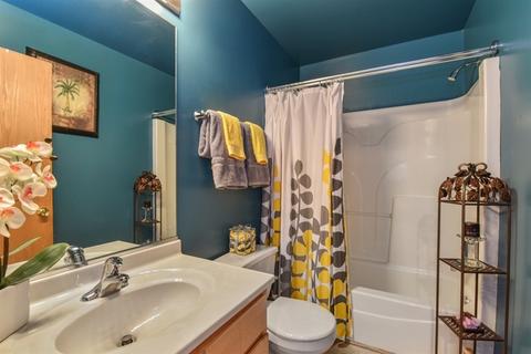 1507 Brookfield Dr, Plainfield, IL 60586 photo 13