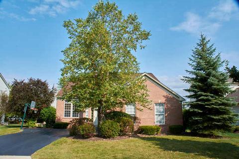 4601 Whitehall Ct, Algonquin, IL 60102 photo 30