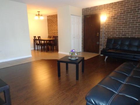 224 E Bailey Rd #B, Naperville, IL 60565 photo 4
