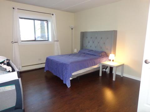 224 E Bailey Rd #B, Naperville, IL 60565 photo 8
