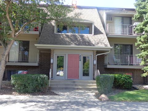 224 E Bailey Rd #B, Naperville, IL 60565 photo 1