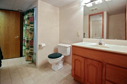 7417 E Maize Rd, Ridott, IL 61067 photo 38