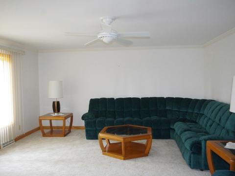 8218 Schmidt St, Spring Grove, IL 60081 photo 3