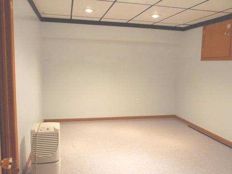 8218 Schmidt St, Spring Grove, IL 60081 photo 18