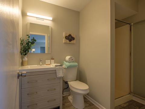 542 Shenandoah Trl, Elgin, IL 60123 photo 20