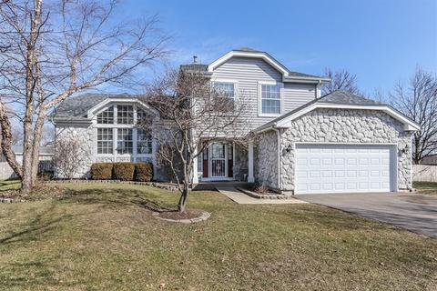 980 Georgian Pl, Bartlett, IL 60103 photo 1