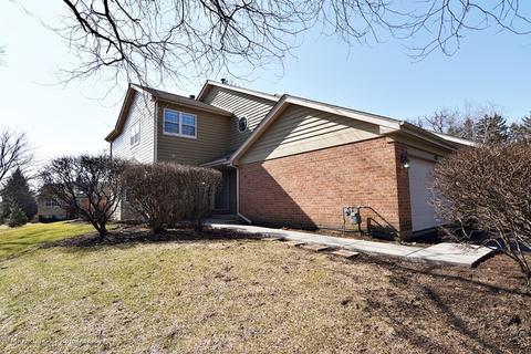 521 Shagbark Dr, Elgin, IL 60123 photo 1