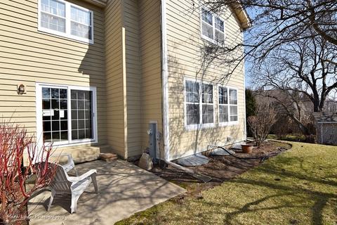 521 Shagbark Dr, Elgin, IL 60123 photo 29