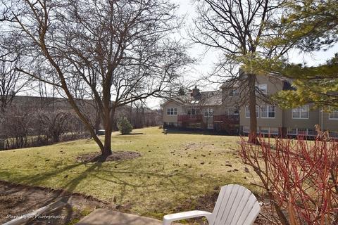 521 Shagbark Dr, Elgin, IL 60123 photo 30