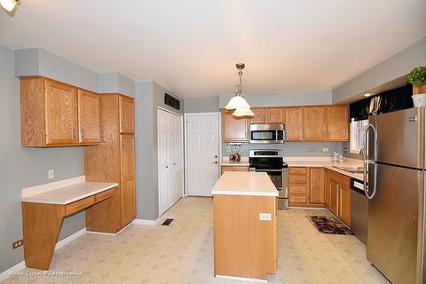 521 Shagbark Dr, Elgin, IL 60123 photo 8
