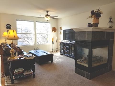 511 Conservatory Ln, Aurora, IL 60502 photo 4