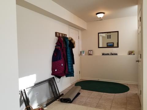 511 Conservatory Ln, Aurora, IL 60502 photo 19
