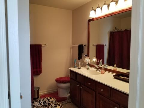511 Conservatory Ln, Aurora, IL 60502 photo 13