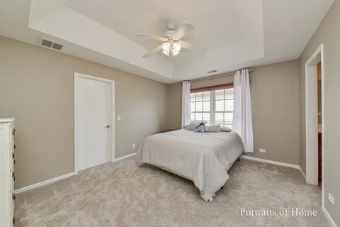 20003 Red Oak Dr, Mokena, IL 60448 photo 23