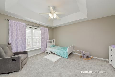 20003 Red Oak Dr, Mokena, IL 60448 photo 24
