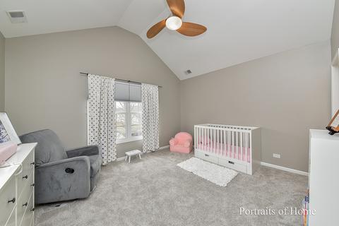 20003 Red Oak Dr, Mokena, IL 60448 photo 21