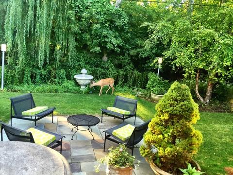 532 River Oaks Dr, River Forest, IL 60305 photo 20