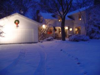 32 W040 Army Trail Rd, Wayne, IL 60184 photo 57