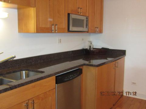 4220 S Champlain Ave #1S, Chicago, IL 60653 photo 17