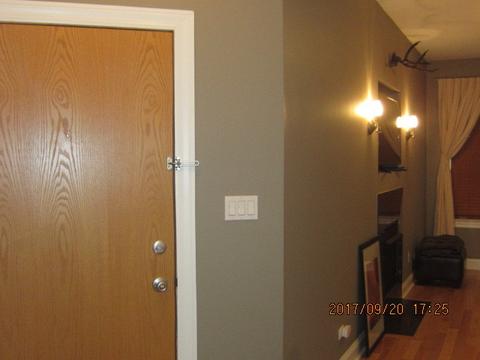 4220 S Champlain Ave #1S, Chicago, IL 60653 photo 4