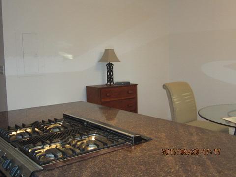 4220 S Champlain Ave #1S, Chicago, IL 60653 photo 18