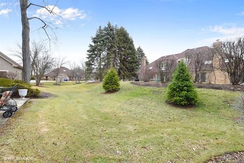 49 Pine Tree Ln, Burr Ridge, IL 60527 photo 18