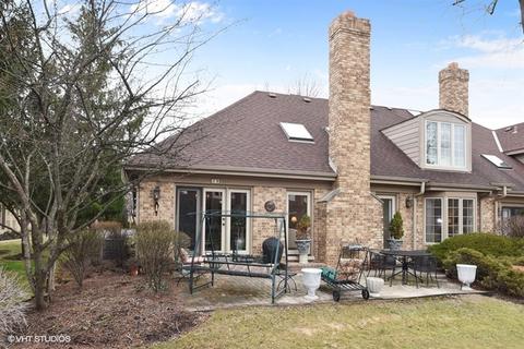 49 Pine Tree Ln, Burr Ridge, IL 60527 photo 17