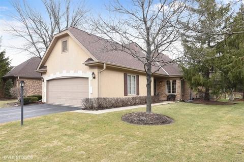 49 Pine Tree Ln, Burr Ridge, IL 60527 photo 1