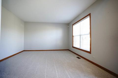25033 Sandra Ln, Plainfield, IL 60544 photo 4