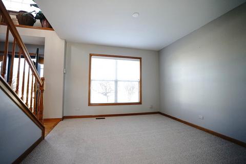25033 Sandra Ln, Plainfield, IL 60544 photo 5