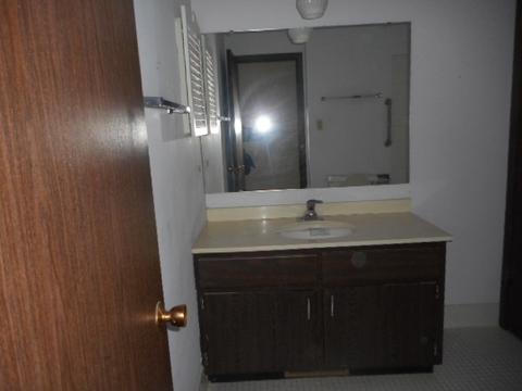 1045 Briarcliffe Blvd, Wheaton, IL 60189 photo 8
