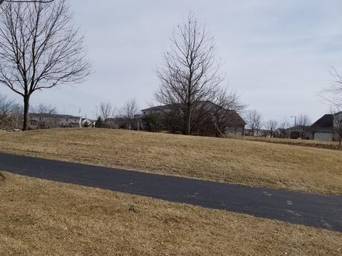 1463 Millbrook Dr, Algonquin, IL 60102 photo 16