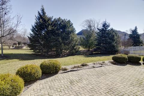 15161 Hamlin St, Plainfield, IL 60544 photo 46
