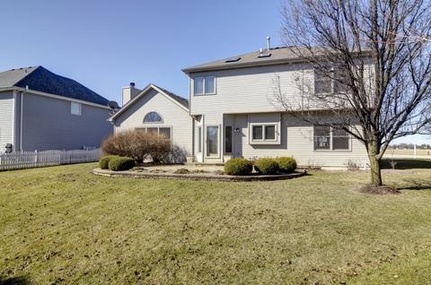 15161 Hamlin St, Plainfield, IL 60544 photo 44