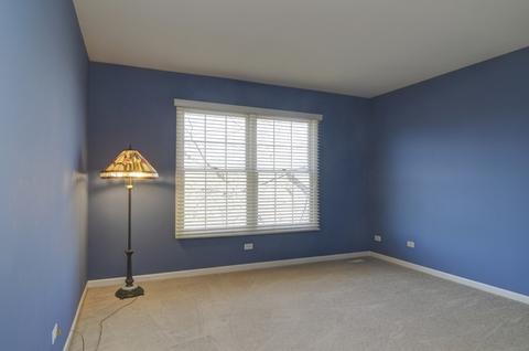 15161 Hamlin St, Plainfield, IL 60544 photo 32